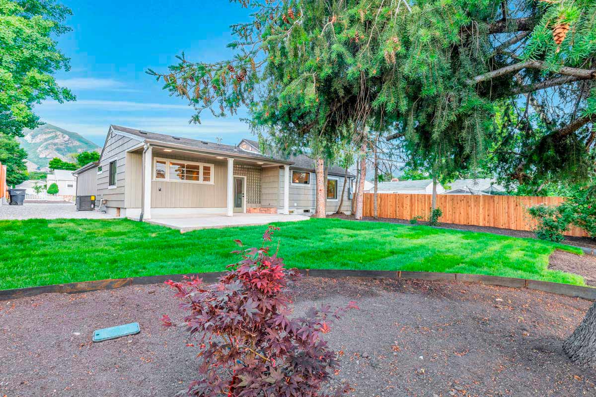 A charming home with a well-kept yard featuring a large tree in the front, enhancing the inviting atmosphere.