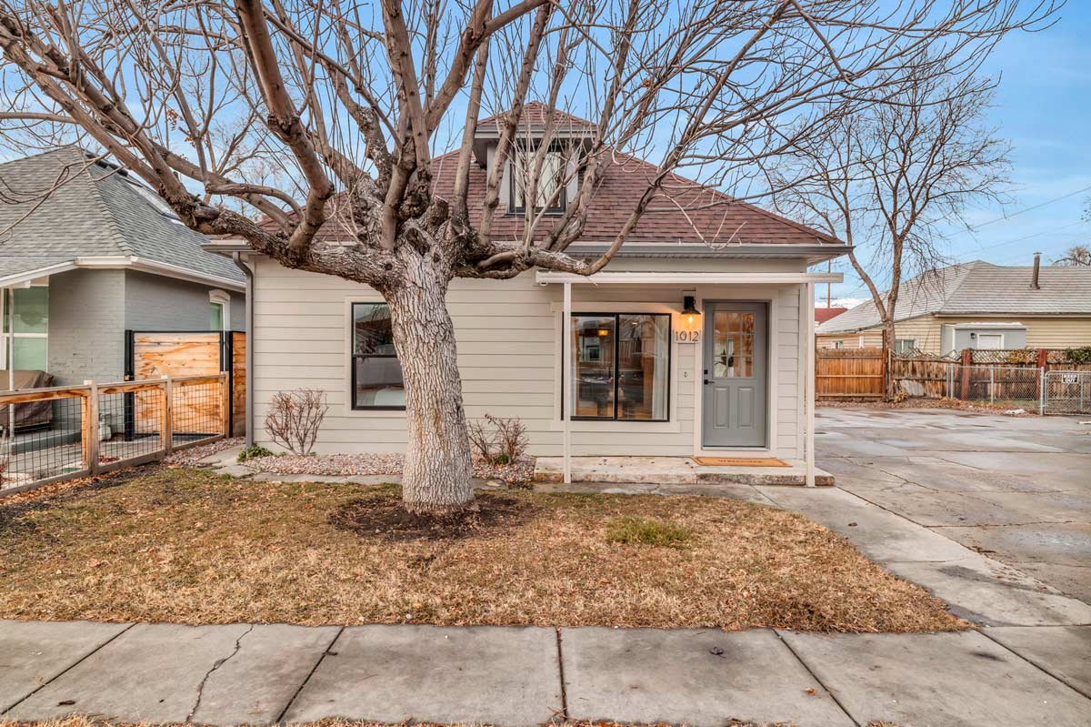 A small house stands in front of a tree, creating a serene and picturesque outdoor scene.